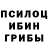 Псилоцибиновые грибы прущие грибы Viktoriya Aleshko