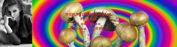 МДПВ Абинск