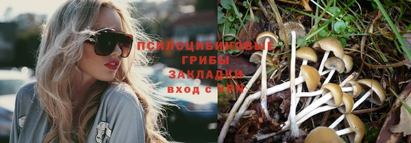 МДПВ Абинск
