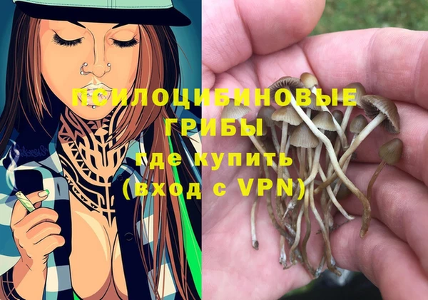 МДПВ Абинск