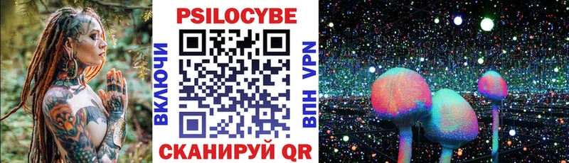 закладки Нариманов Галлюциногенные грибы Psilocybine cubensis